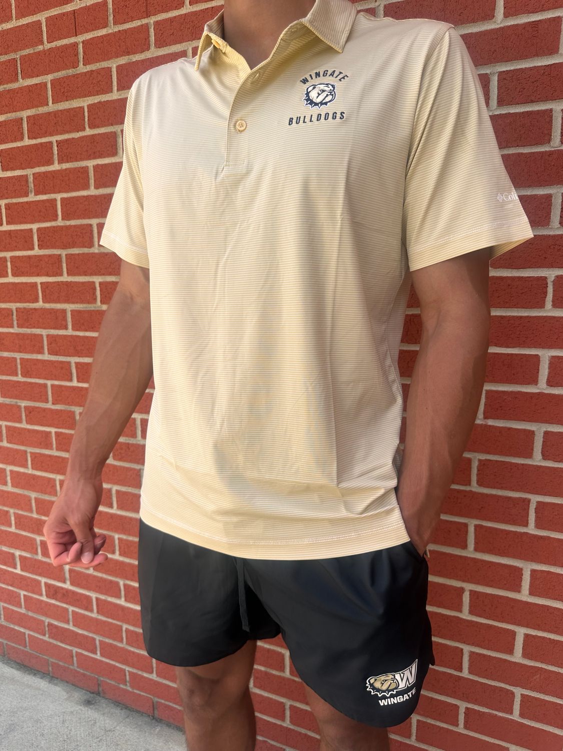 Vegas Gold Wingate Arched Over Dog Head Bulldogs Embroidered Small Striped Drifit Double Hit Polo