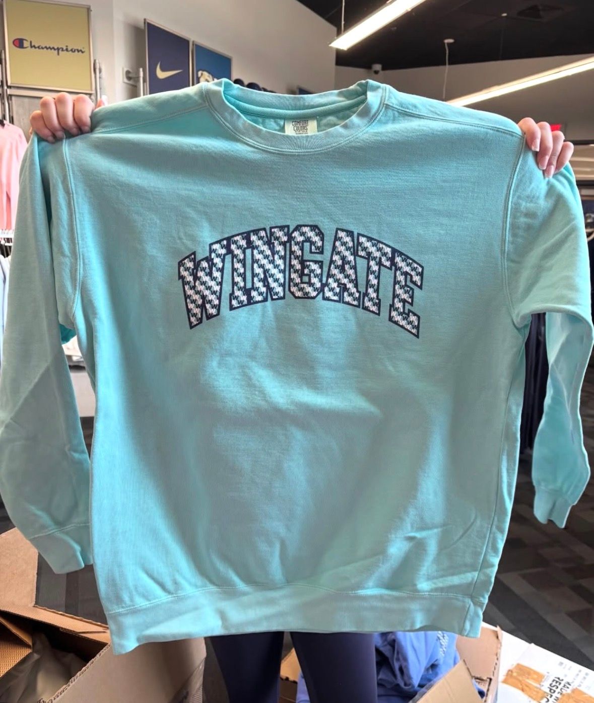 Chalky Mint Wingate Crewneck Sweatshirt