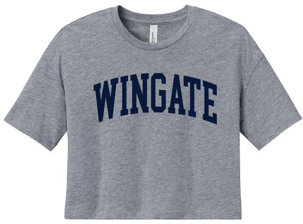 Grey Wingate Boxy Jersey Crop Short Sleeve T Shirt, Size: SM