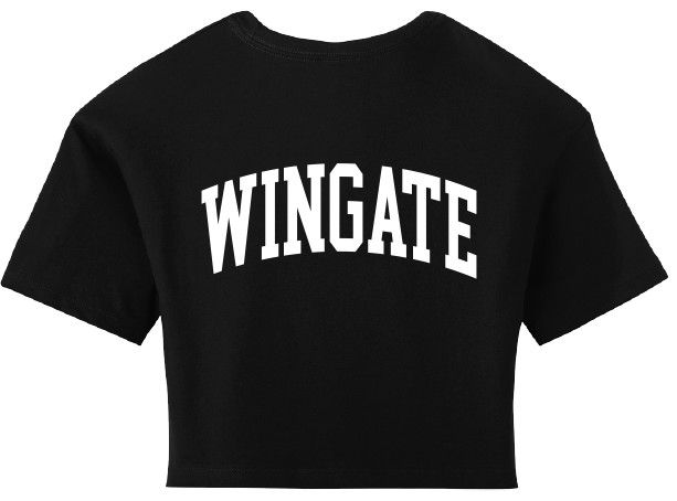 Black Wingate Boxy Jersey Crop Short Sleeve T Shirt, Size: SM