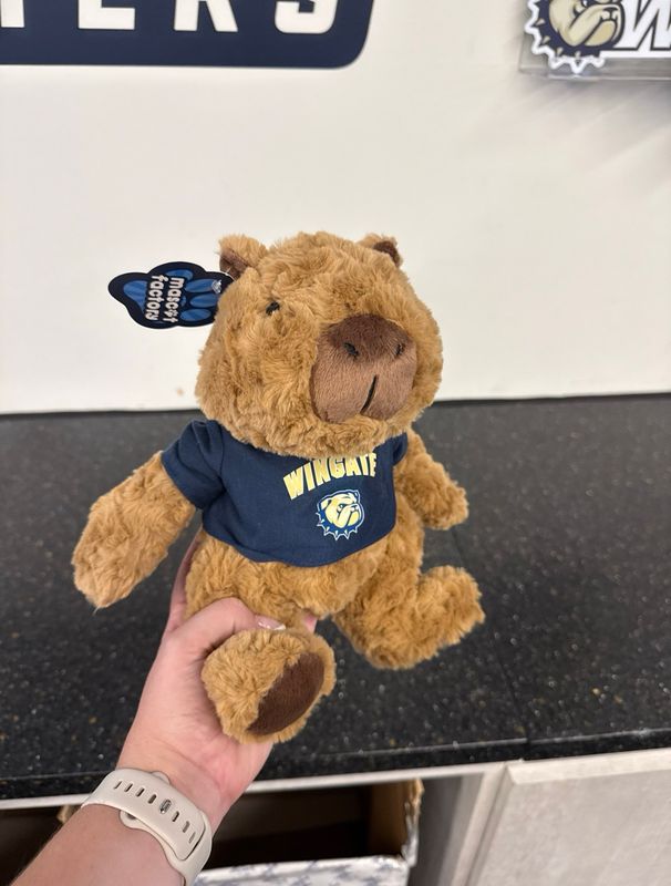 9" Capybara Cuddle Buddy Plush