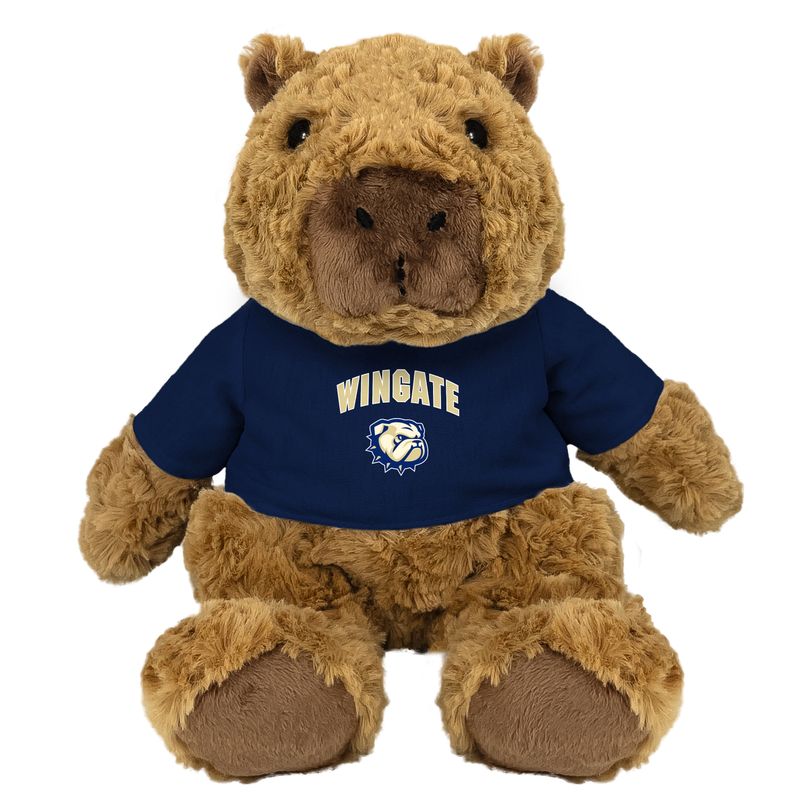 9" Capybara Cuddle Buddy Plush