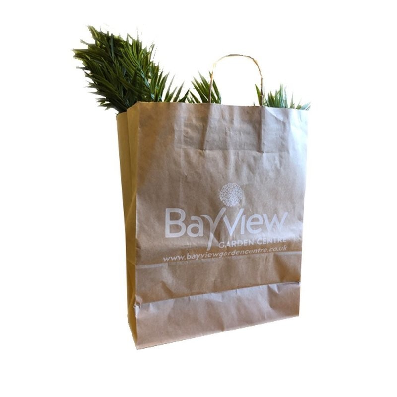 Twist handle paper boutique bags 305 x 430 x 405mm Brown or White 150 per pack