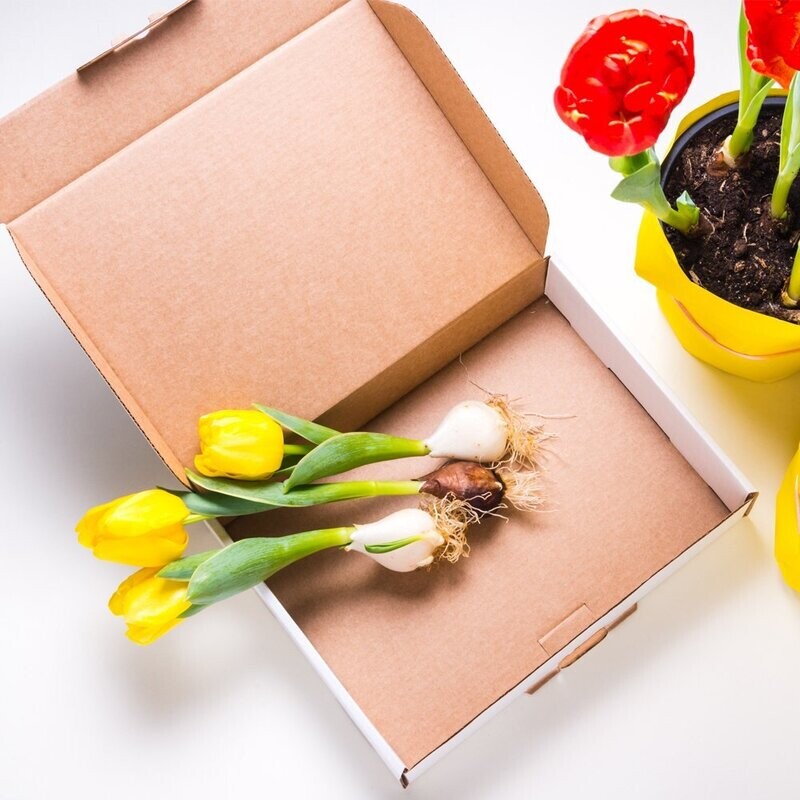 Mail Order Boxes