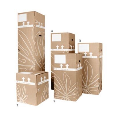 Flower & Plant Mail Order Ecommerce Boxes