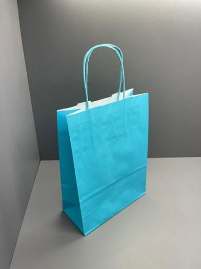 BLUE Twist Handle Paper Bags