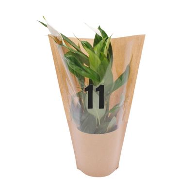 Plant Sleeves