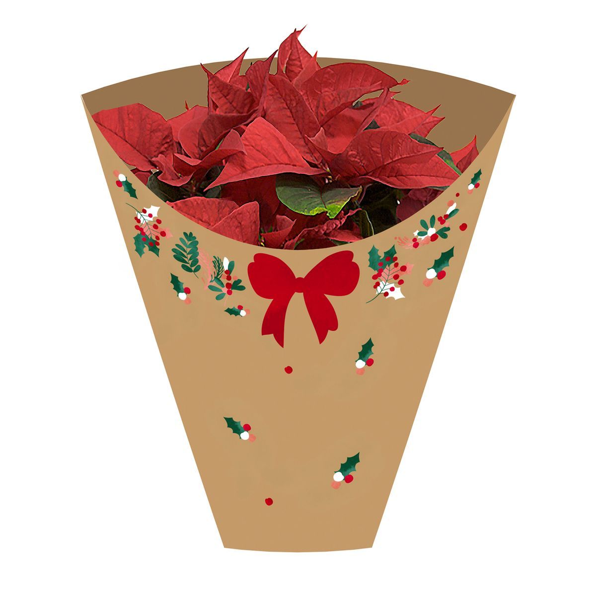 Paper & Plastic Plant Sleeves