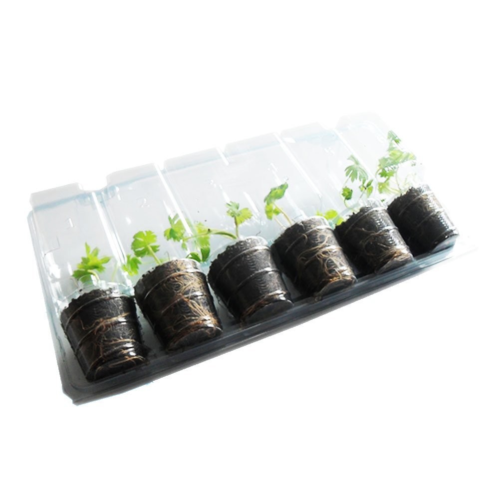 Mail Order Plant Blister Mail Order Packs