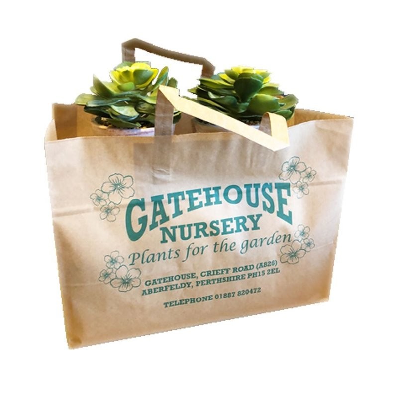 Brown Kraft Paper Garden Centre Carrier Bags