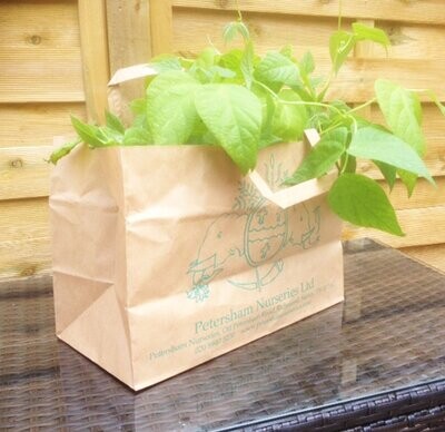 Paper Bags