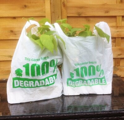 Carrier Bags