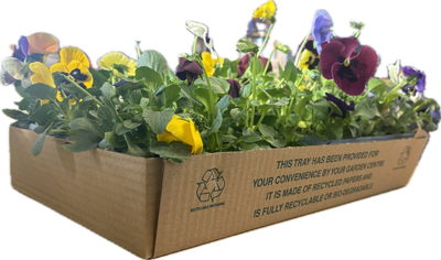 Boxes & Plant Packaging