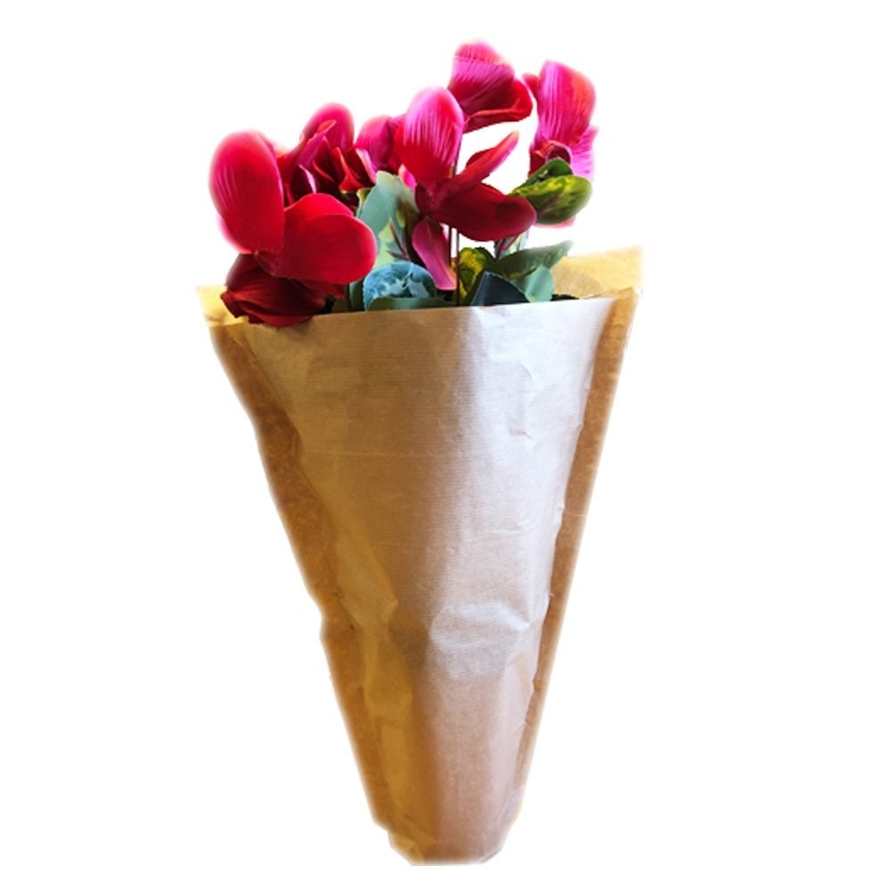 White & Brown Plain Paper Plant Sleeves - PRICE ON APPLICATION