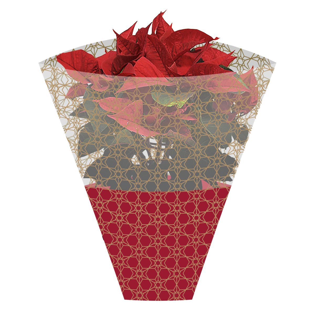 Christmas/Poinsettia Plant Sleeves