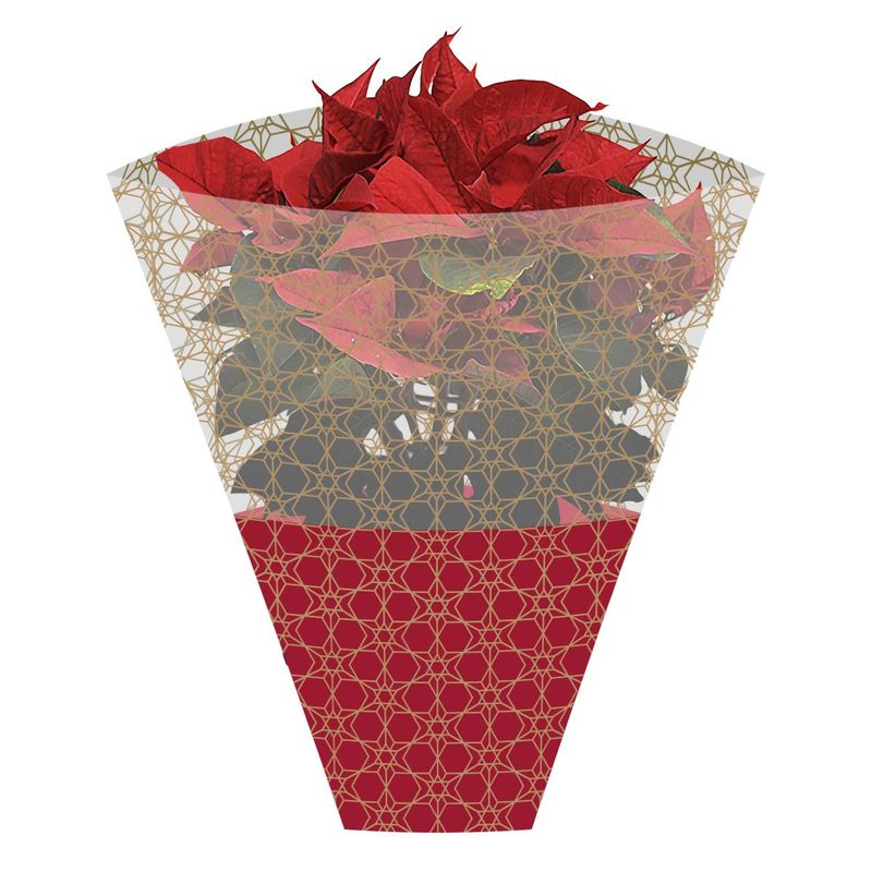 Christmas/Poinsettia Plant Sleeves