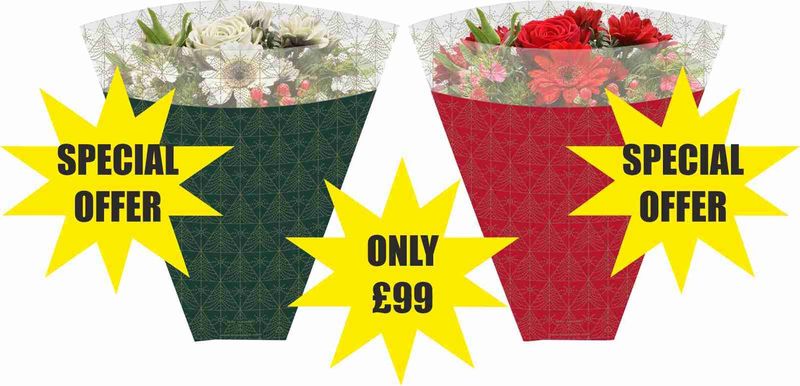 Poinsettia Plant Sleeves *SPECIAL OFFER*