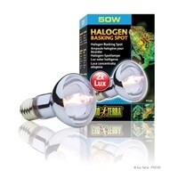 EXO TERRA HALOGEN 50 WT