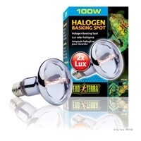 EXO TERRA HALOGEN 100 WT