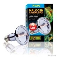 EXO TERRA HALOGEN 75 WT