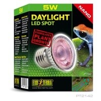 *HAG EXO-T DAY LED NANO 5WT