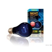 EXO TERRA NIGHTGLO 100WT