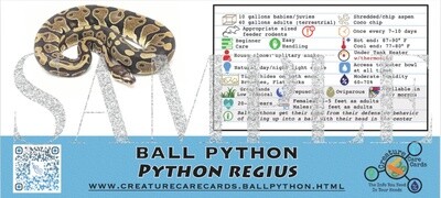 CREATURE CAGE CARD BALL PYTHON