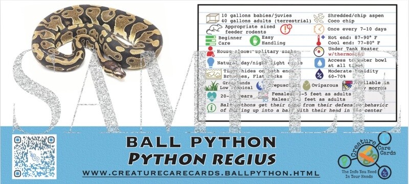CREATURE CAGE CARD BALL PYTHON