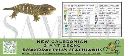 CREATURE CAGE CARD LEACHIANUS GECKO