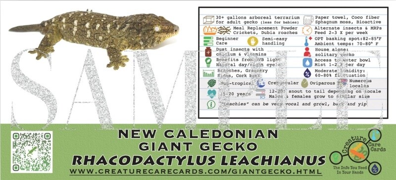 CREATURE CAGE CARD LEACHIANUS GECKO