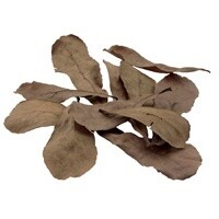 FLUVAL BETTA ALMOND LEAVES