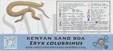 CREATURE CAGE CARD SAND BOA