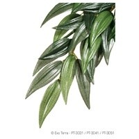HAG EXO-T SILK RUSCUS MD
