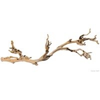 HAG EXO-T FOREST BRANCH LG