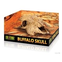 EXO TERRA BUFFALO SKULL