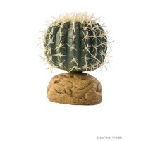 HAG EXO-T BARREL CACTUS