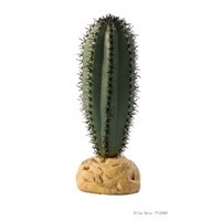 HAG EXO-T SAGUARO CACTUS