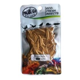 PROBUGS MEALWORM