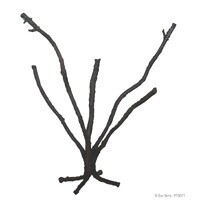 HAG EXO-T JUNGLE TREE LG