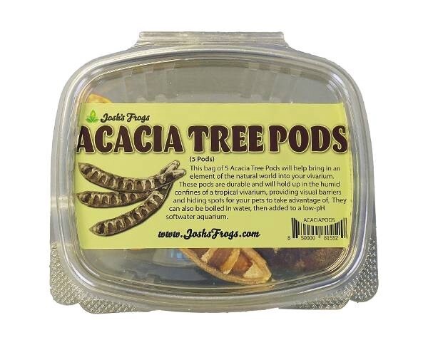 JF ACACIA TREE PODS 5PK