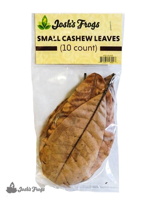 JF LEAF LITTER CASHEW