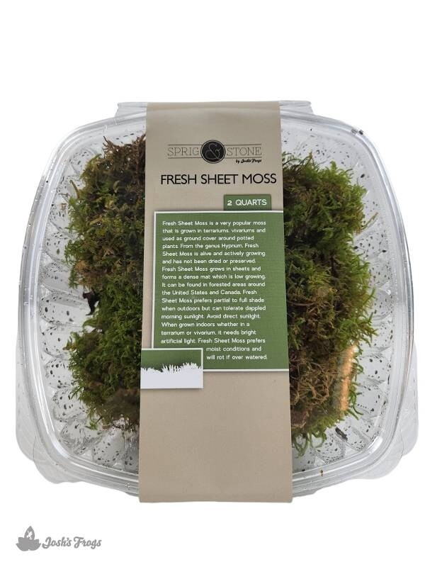 JF FRESH SHEET MOSS 2QT