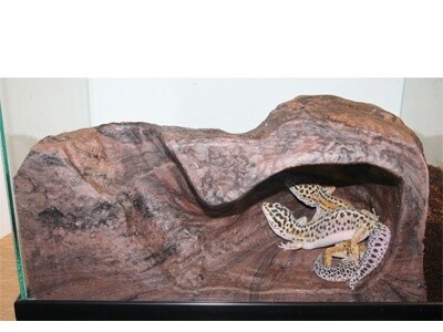 PT EARTH BURROW LG