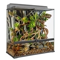 HAG EXO-T GLASS TERR 36X18X36