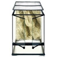 HAG EXO-T GLASS TERR 18X18X24