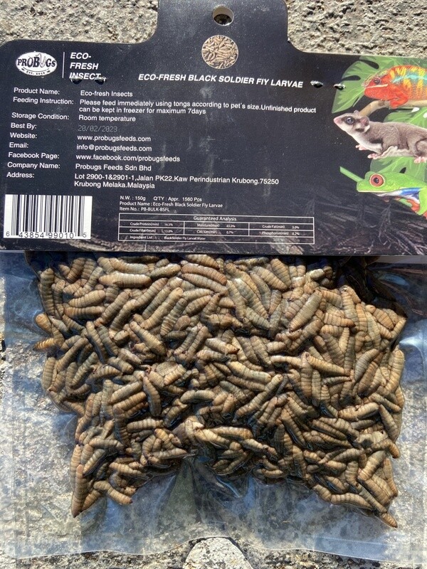 PROBUGS BSFL 150 GRAM