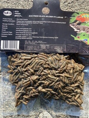 PROBUGS BSFL 150 GRAM