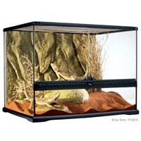 HAG EXO-T GLASS TERR 24X18X18