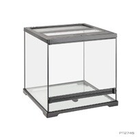HAG EXO-T GLASS DART FROG KIT