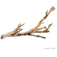 HAG EXO-T FOREST BRANCH SM